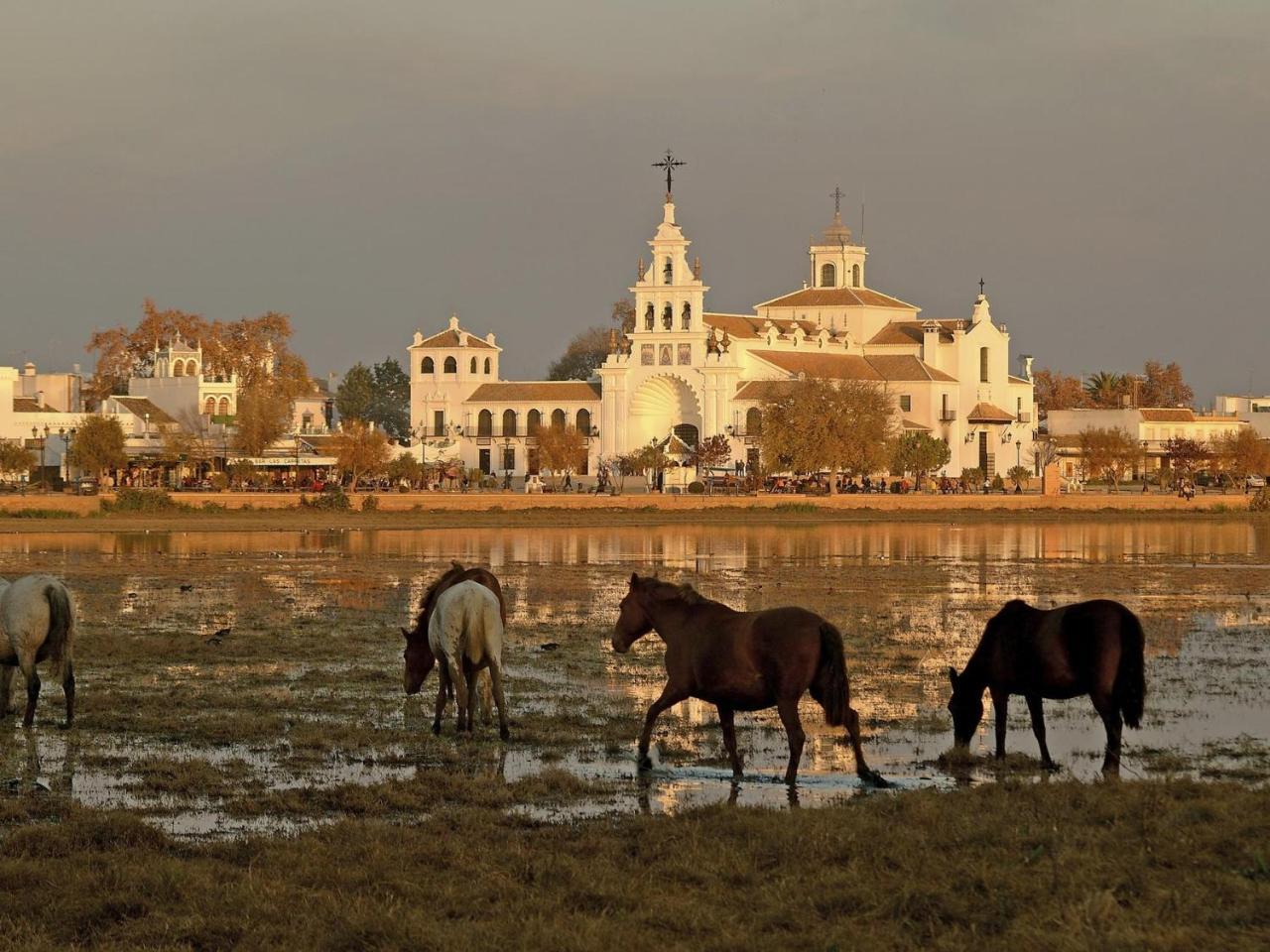Alojamiento Rural Flamingo El Rocío Exterior foto